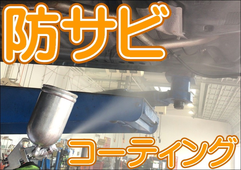 スタッフ撮影写真